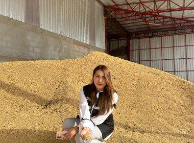 ติดตามโครงการรวบรวมข้าวเปลือก ปีการผลิต 2568/69 ... พารามิเตอร์รูปภาพ 7